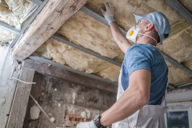 Best Insulation Maintenance and Repair in Old Fig Garden, CA